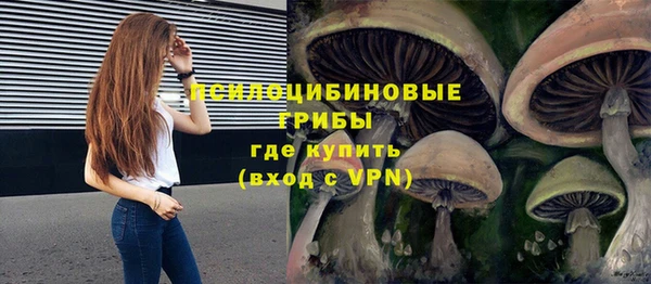 синтетический гашиш Белокуриха