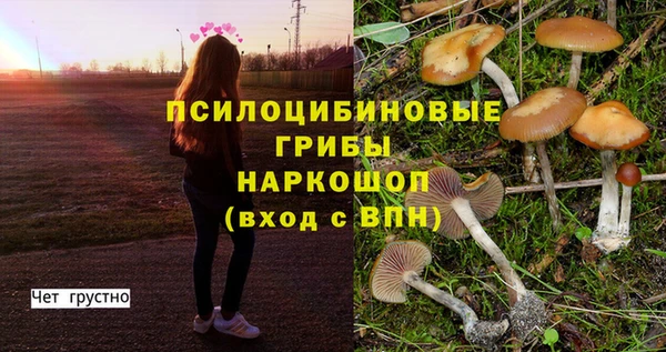 каннабис Беломорск